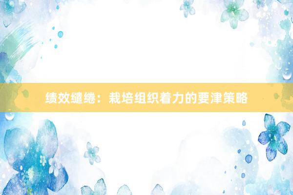 绩效缱绻：栽培组织着力的要津策略